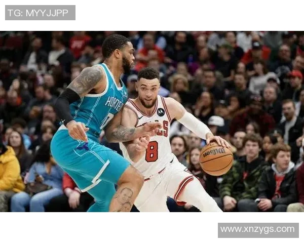 中文黄蜂对阵老鹰精彩比赛录像回放及精彩瞬间分析