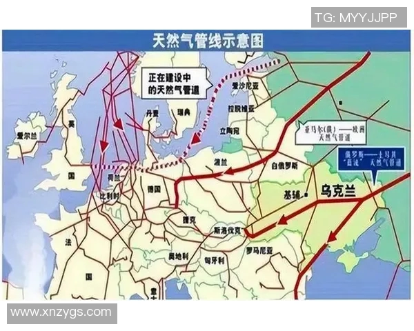 亚马尔地区的能源战略与全球市场的深度融合探讨