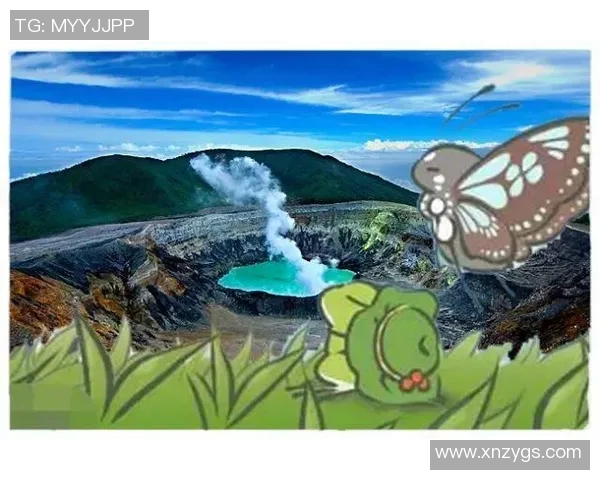 巴拿马与百慕大足球对决精彩回顾与分析