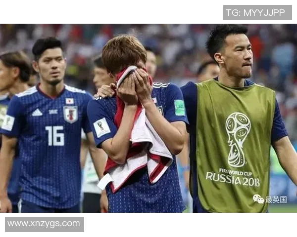 日本与比利时精彩对决录像回放分析与精彩瞬间集锦