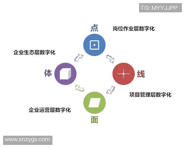 上海篮球队的控制革新探索与发展路径分析 上海篮球队的控制革新探索与发展路径分析