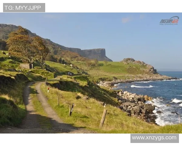 冰岛与北爱尔兰激战正酣比分悬念迭起引发球迷热议 冰岛与北爱尔兰激战正酣比分悬念迭起引发球迷热议