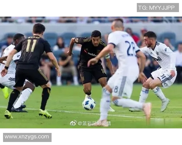 波特兰伐木与温哥华的城市魅力与文化碰撞探讨 波特兰伐木与温哥华的城市魅力与文化碰撞探讨