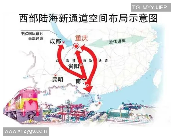 重庆足球队速度分析与战术应用的深度探讨与展望