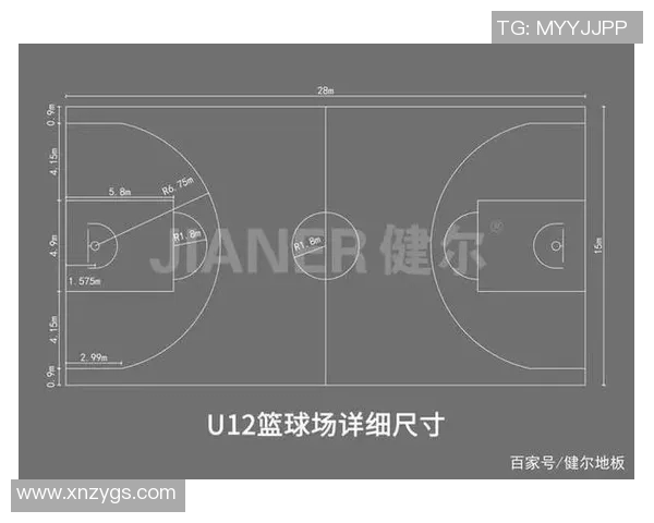 篮球明星hmx的传奇之路与场上风采全解析